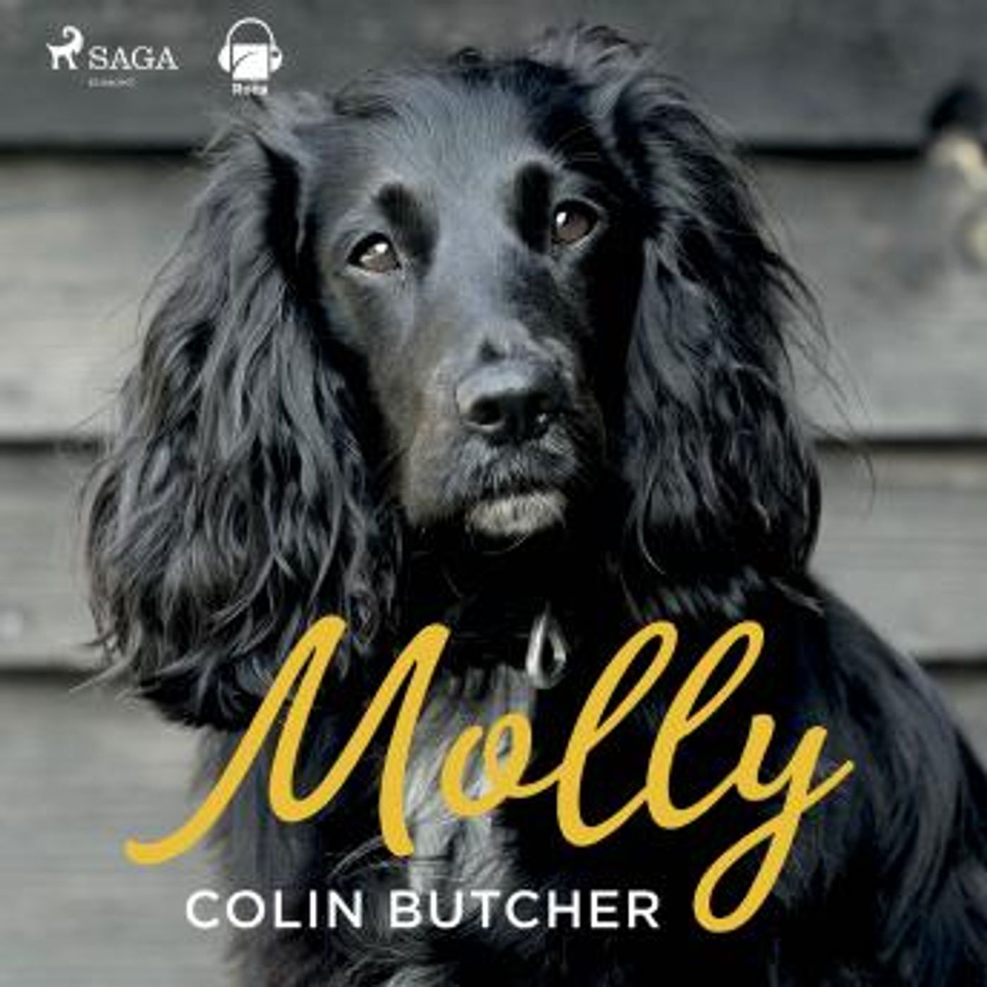 Download Best Full-Length Audiobooks in Non-Fiction, Animals & Nature