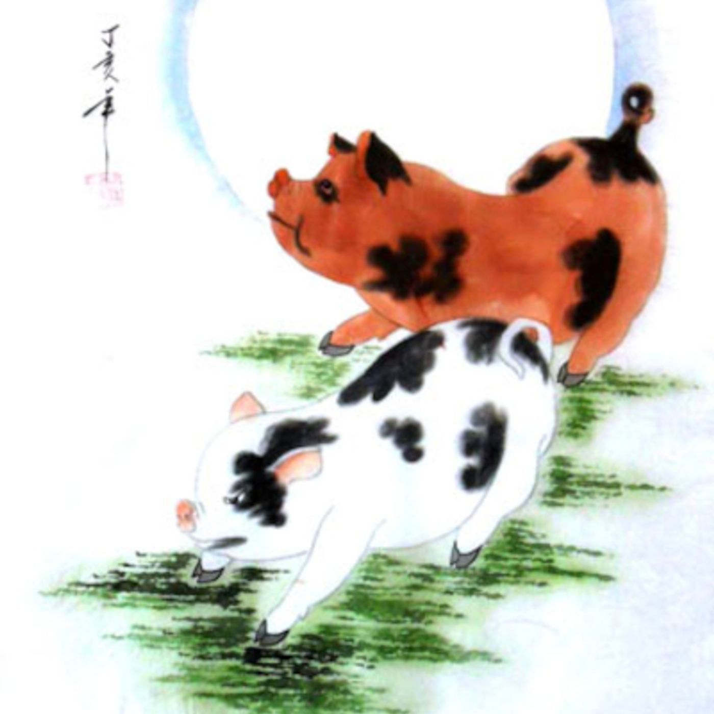 Orientarsi #2 Maiali episode artwork