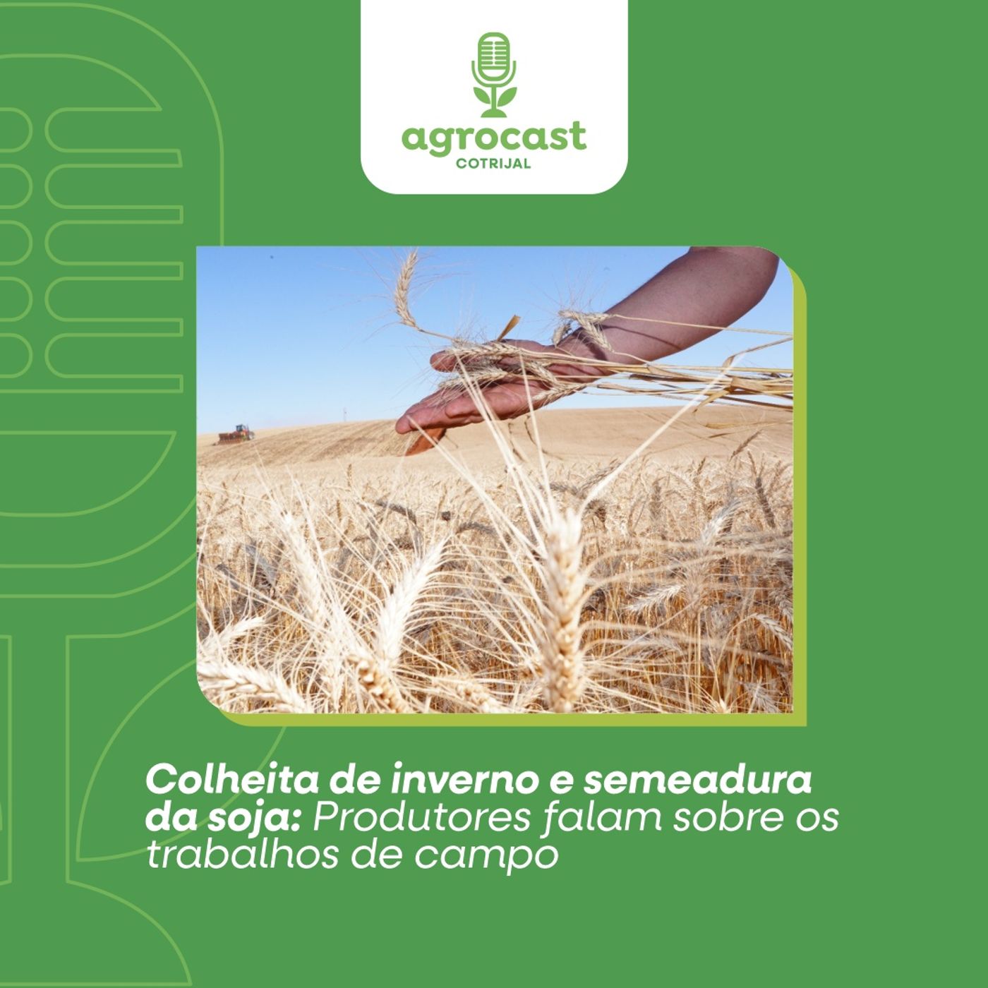 AgroCast Cotrijal