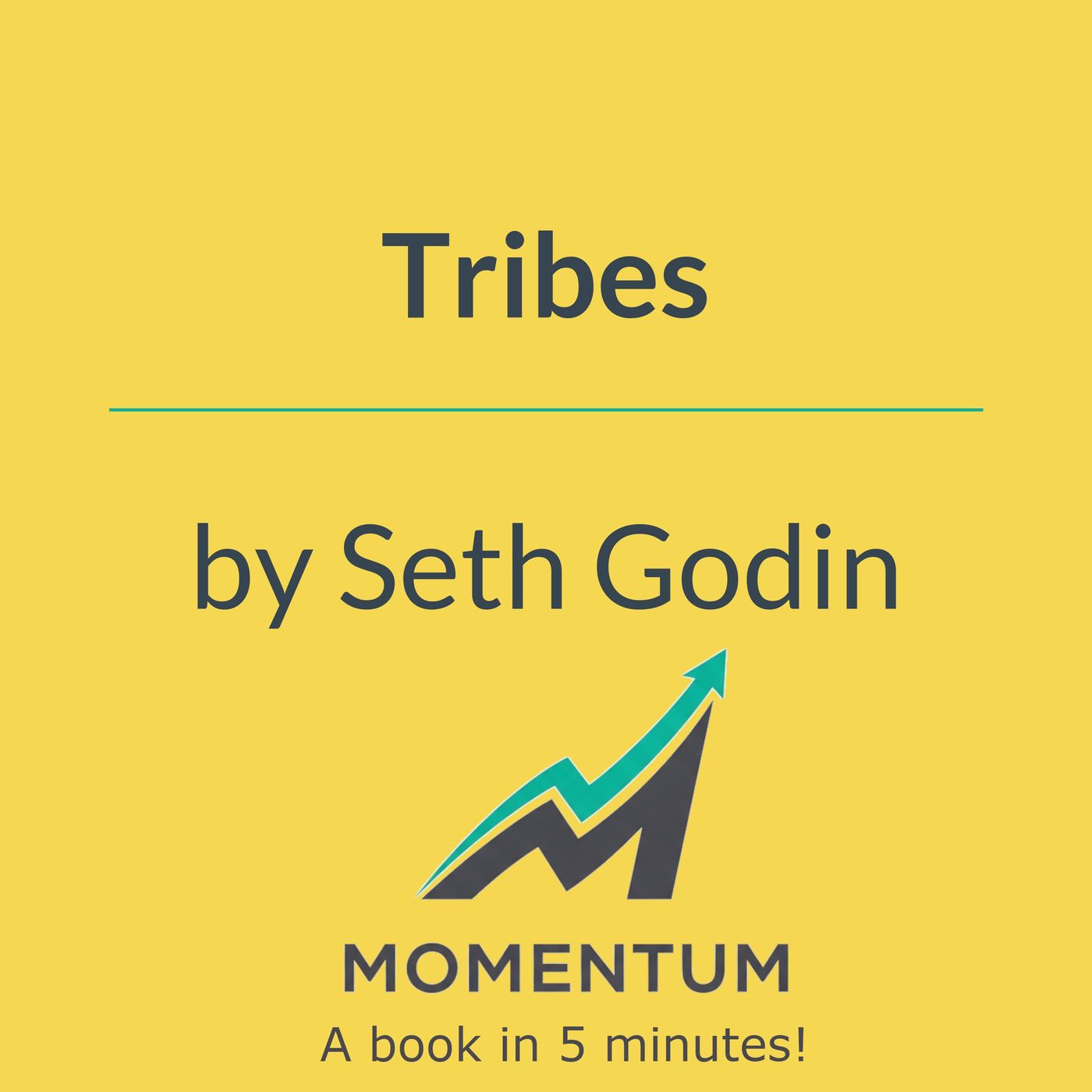 Tribes: You don't need permission to be a leader (Seth Godin)
