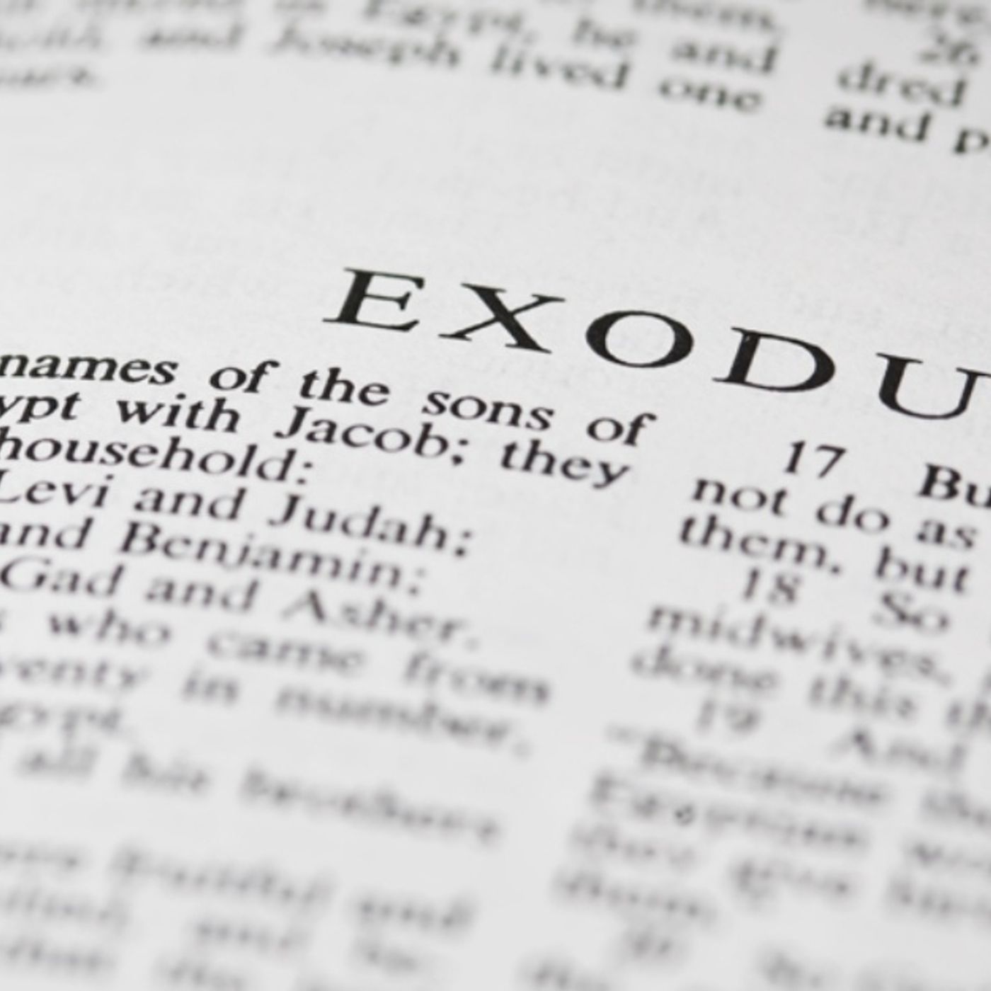 Exodus chapter 13