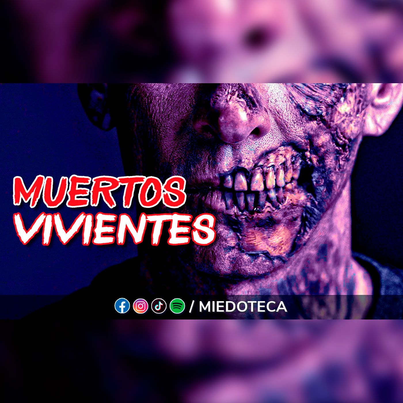 Miedoteca