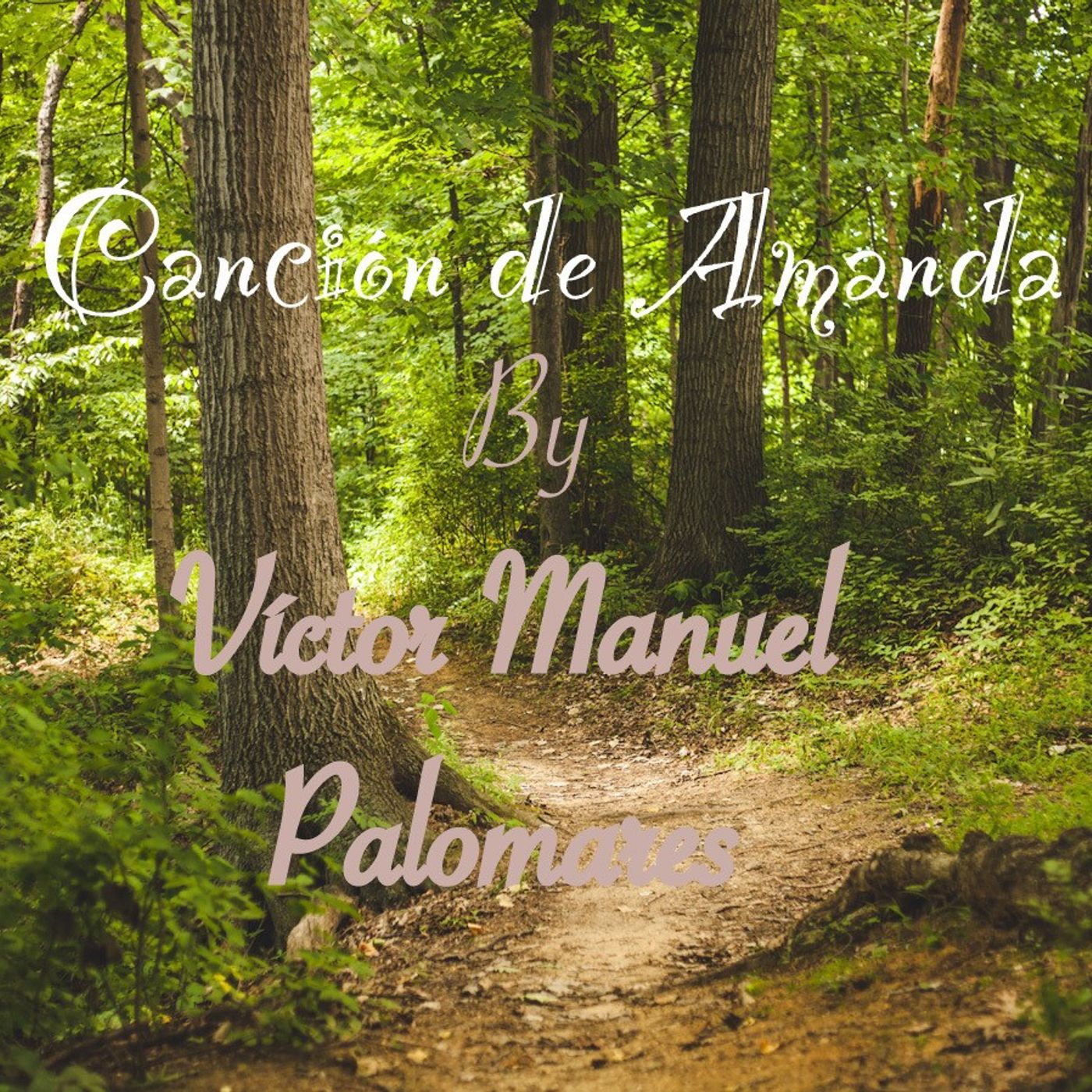 Canción de Amanda by Victor Manuel Palomares