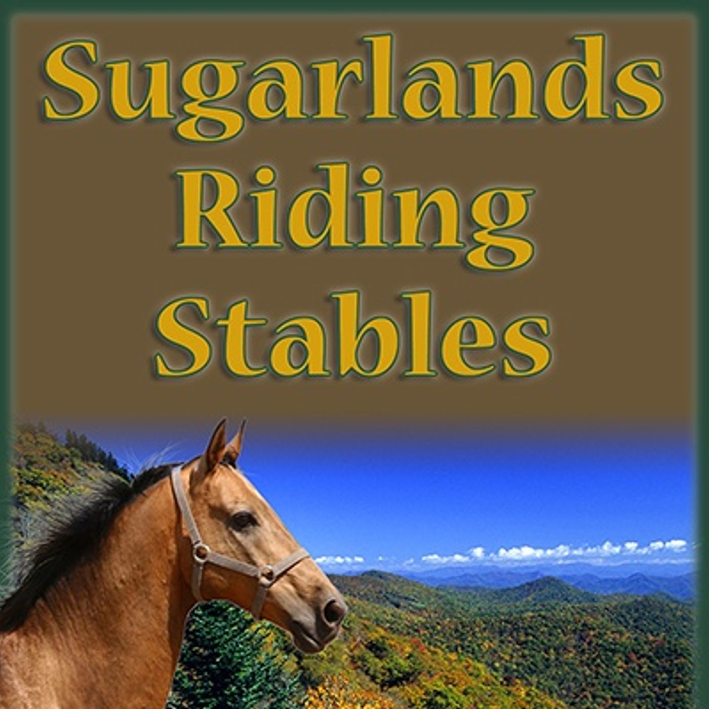 Around the World: Interview with Kenny @ Sugarland Stables episode artwork