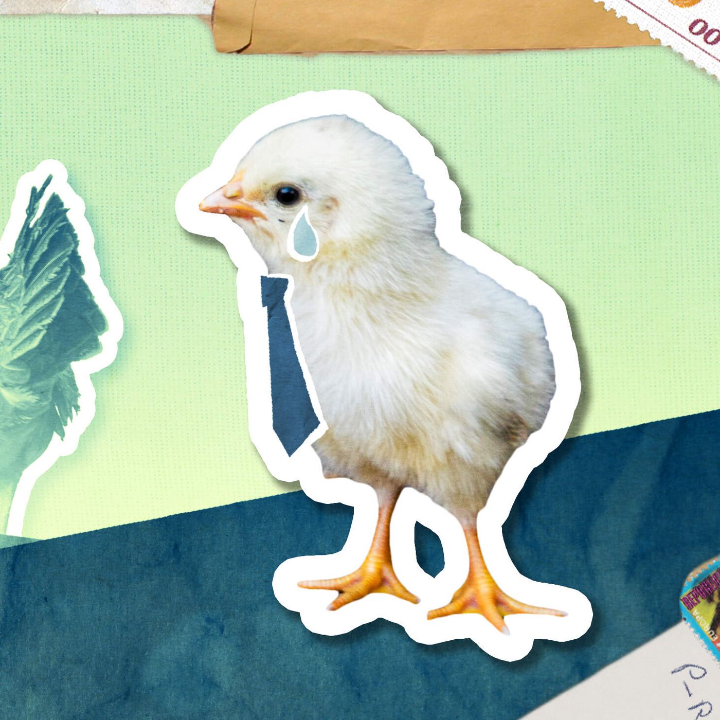 Dear Life Kit: Your most petty social dilemmas, answered episode artwork