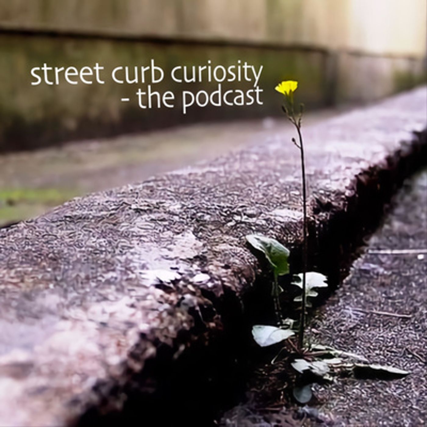 Street Curb Curiosity