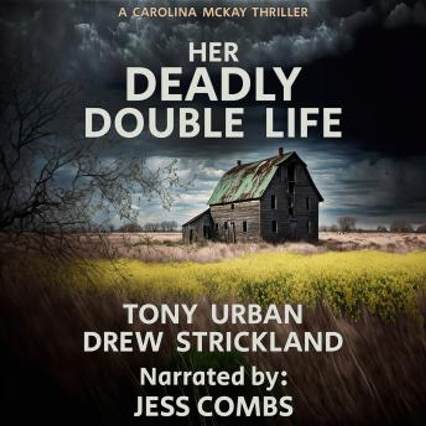 Discover the Best Audio Stories in Mystery, Thriller & Horror, Suspense
