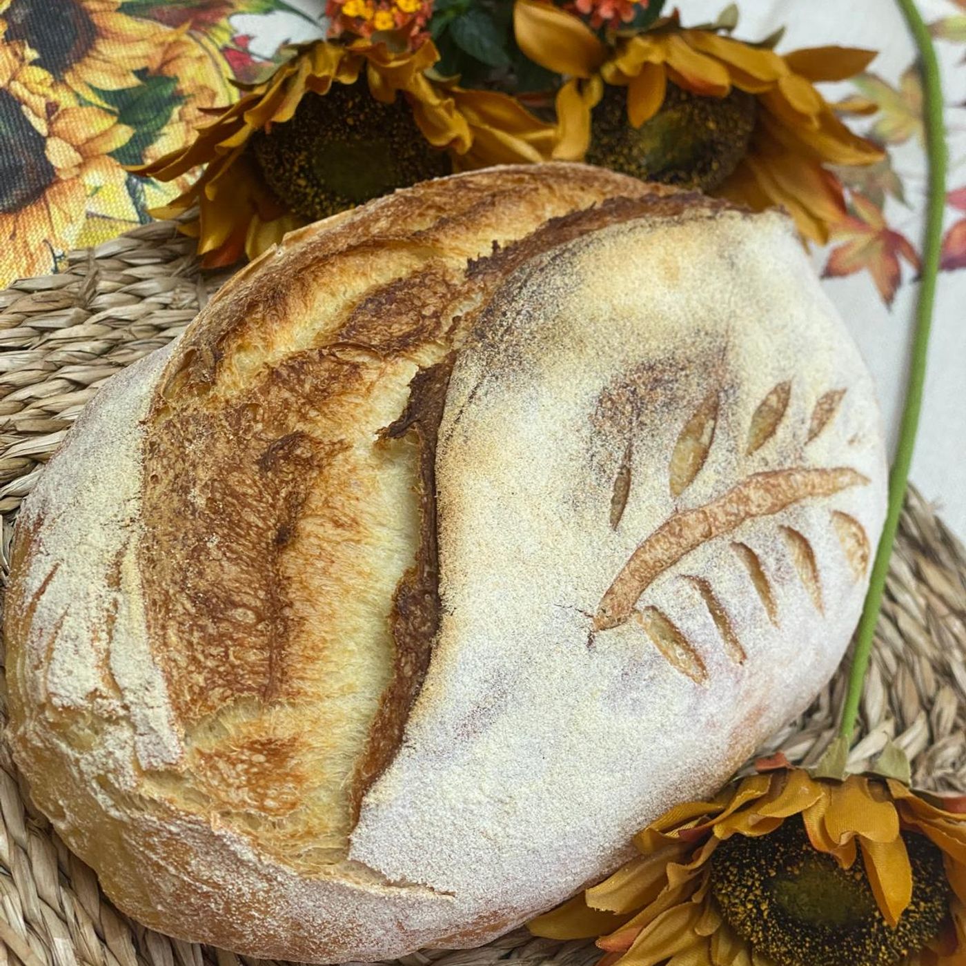 Pane di semola rimacinata . episode artwork