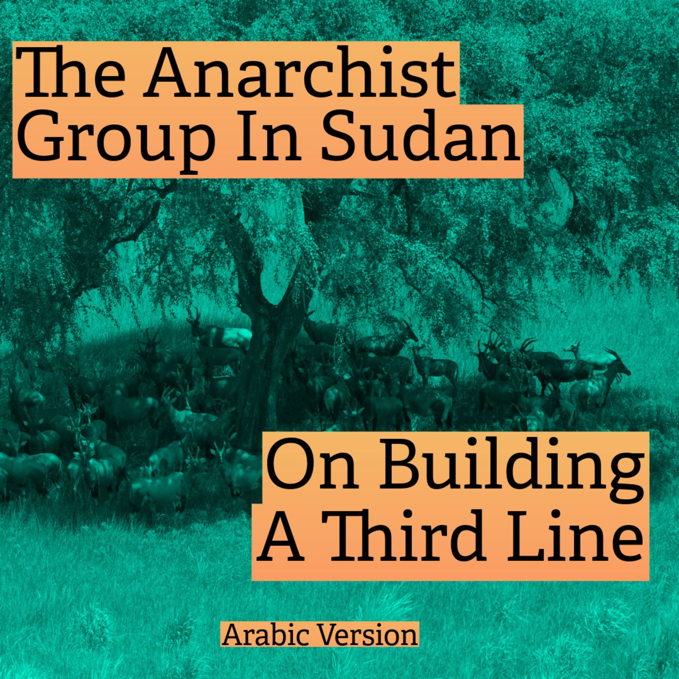 (ARABIC) The Anarchist Group In Sudan On Building A Third Line episode artwork