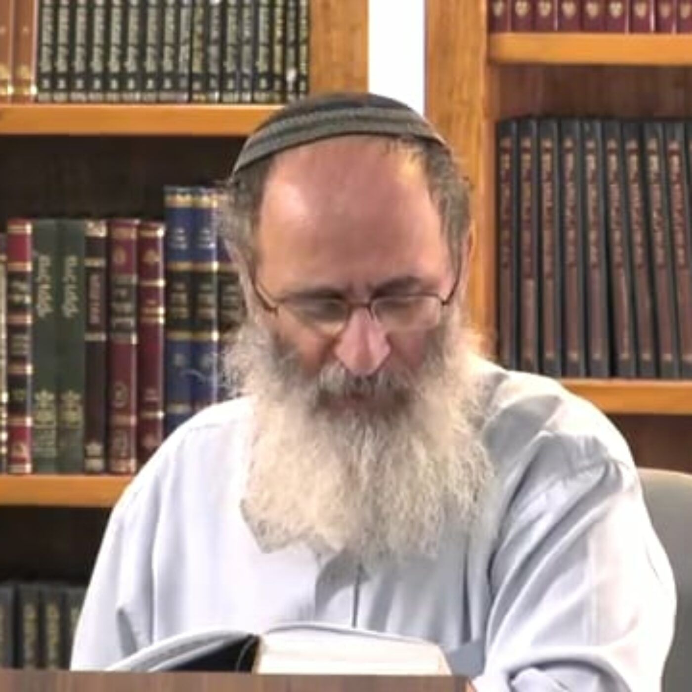 "ונח מצא חן בעיני ה' " – האם נח איננו צדיק וזקוק לחנינה או שמא הוא צדיק ? | הרב אורי עמוס שרקי episode artwork