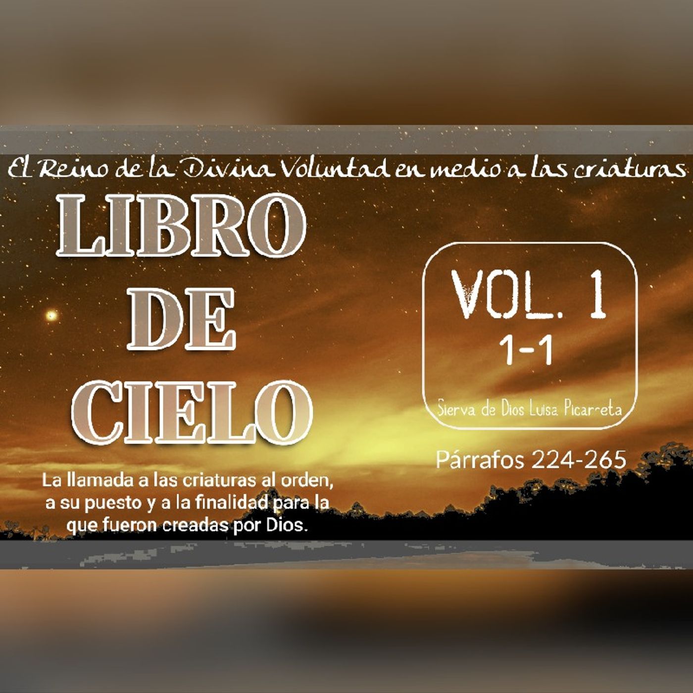 Divina Voluntad | Luisa Picarreta