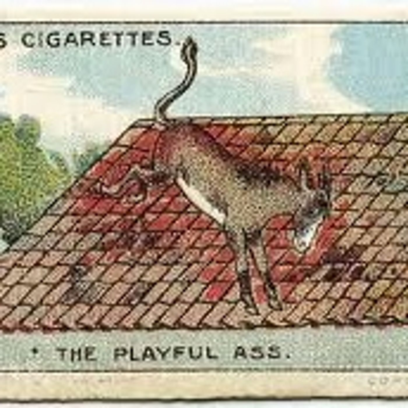 The Playful Ass episode artwork