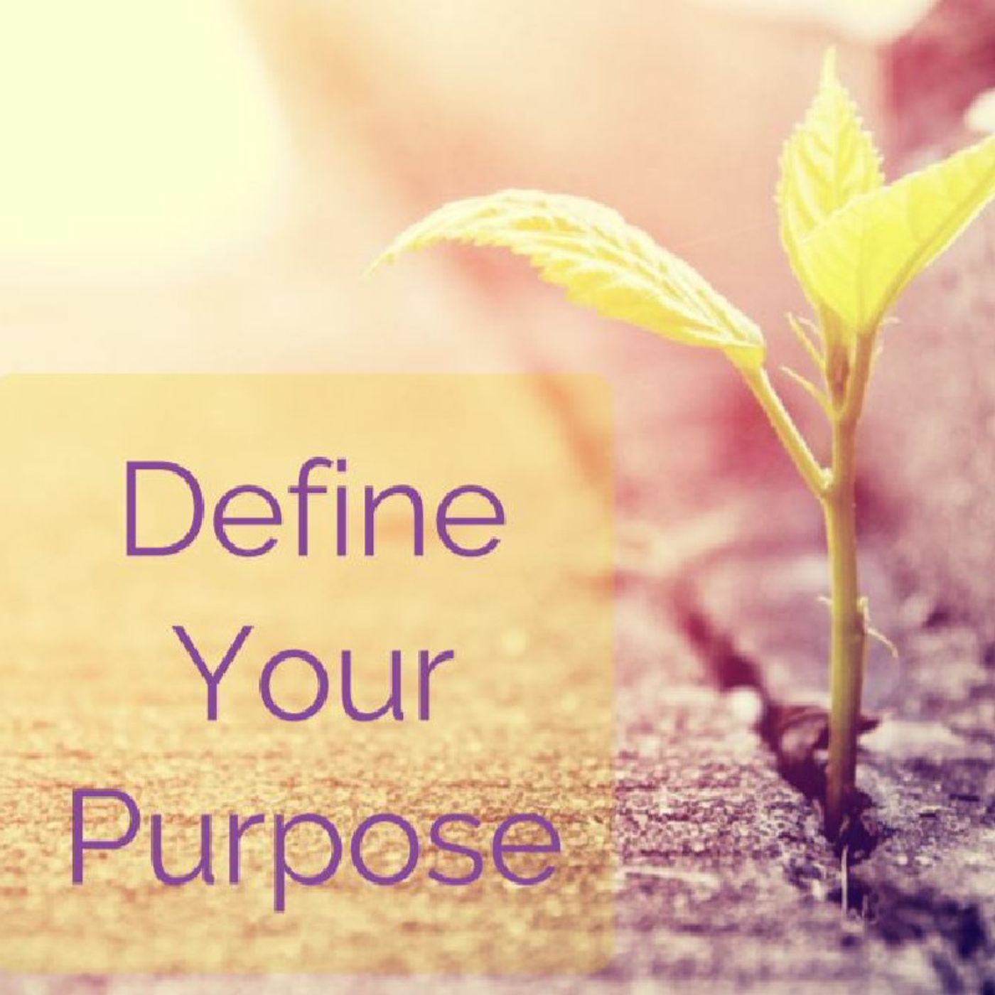Purpose (Core Elements): A Biblical Perspective