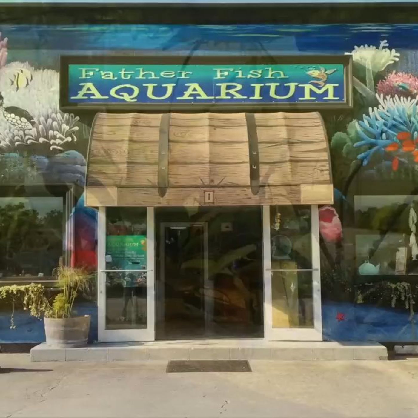 Talk About Beautiful Aquariums!