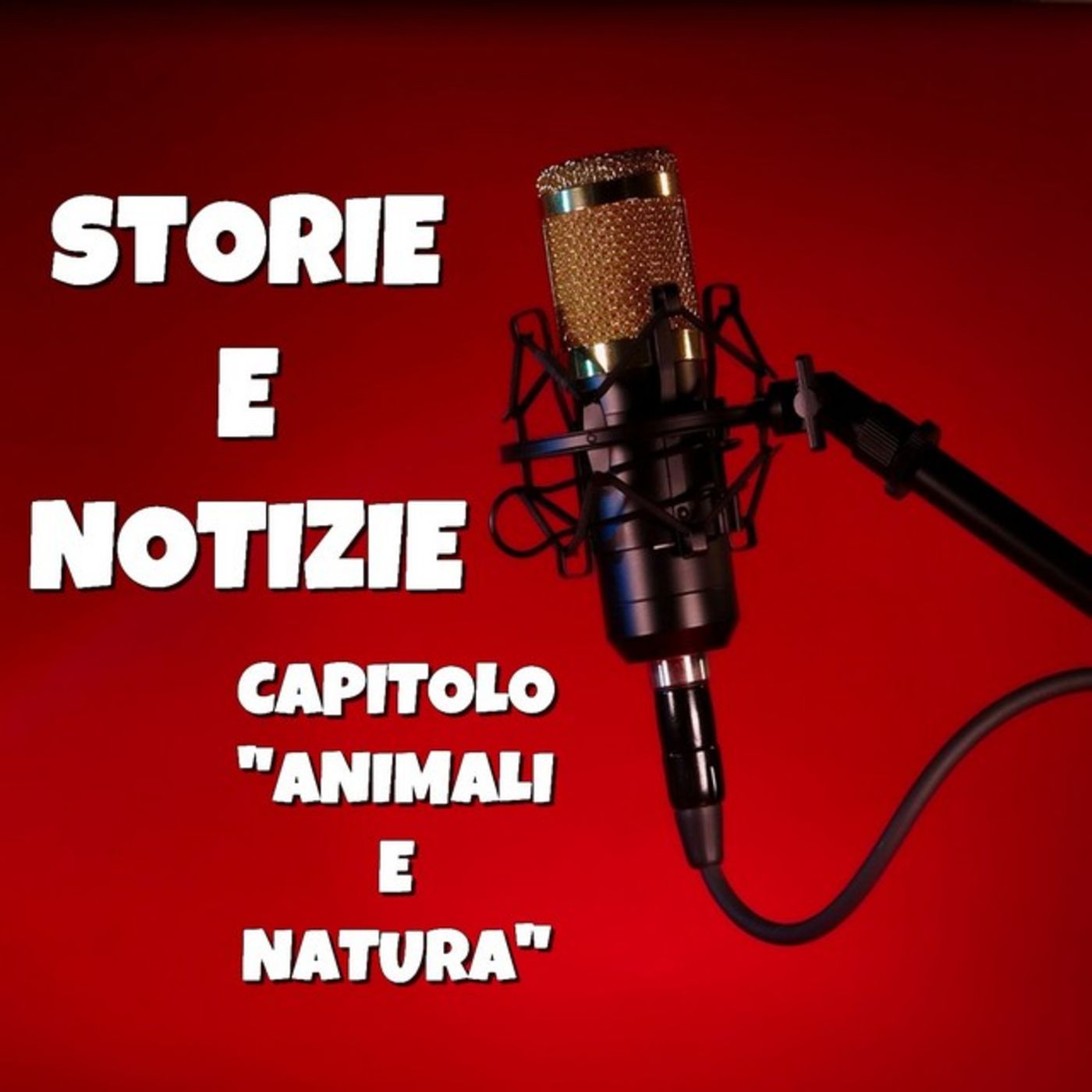 Storie e Notizie