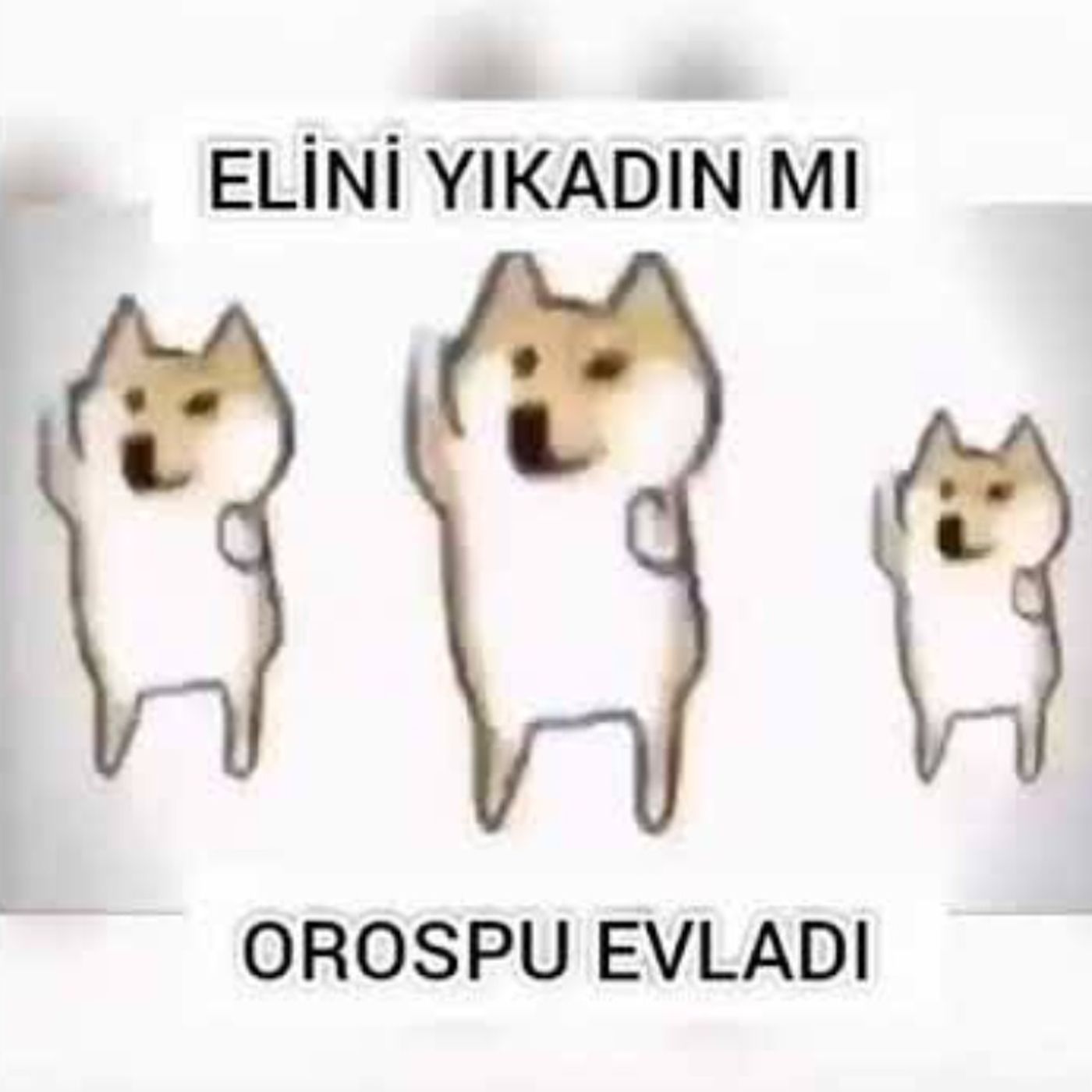 Allam bu yaşamak mı