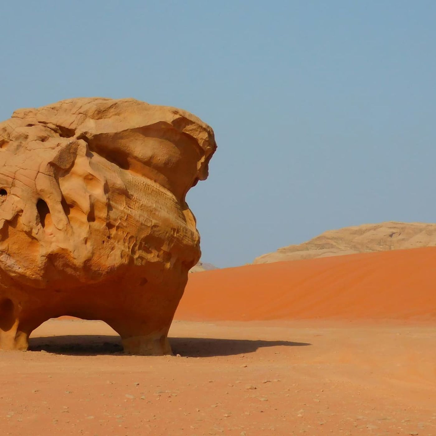 Mondi alieni sulla Terra viaggi ai confini della realtà Mondi alieni sulla Terra viaggi ai confini della realtà