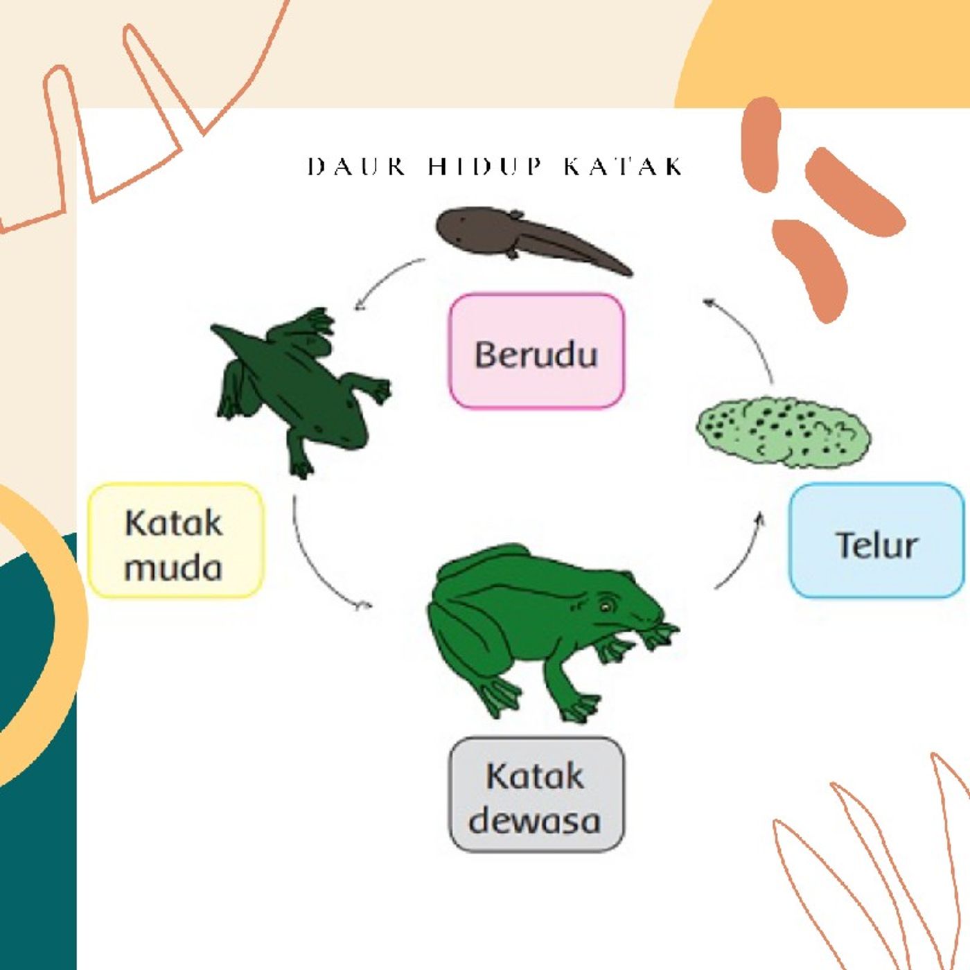 Dunia Kelas 3 SD
