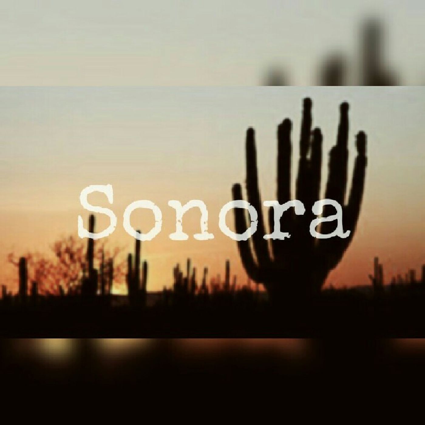 Sonora.