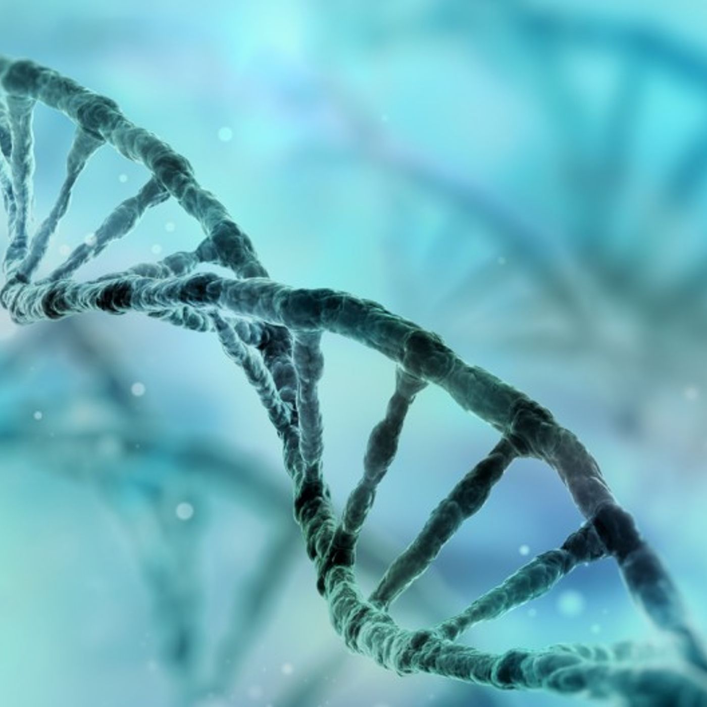DNA: scoperta, struttura e funzione episode artwork