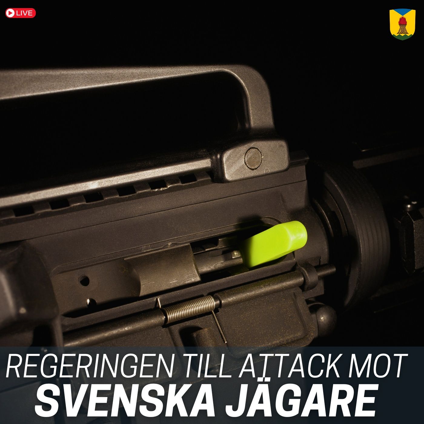 Regeringen ändrar vapenlagen i skandalös symbolpolitik episode artwork