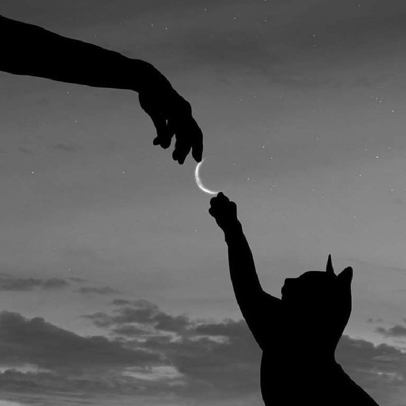 EL RELATO DE MI HISTORIA. episode artwork