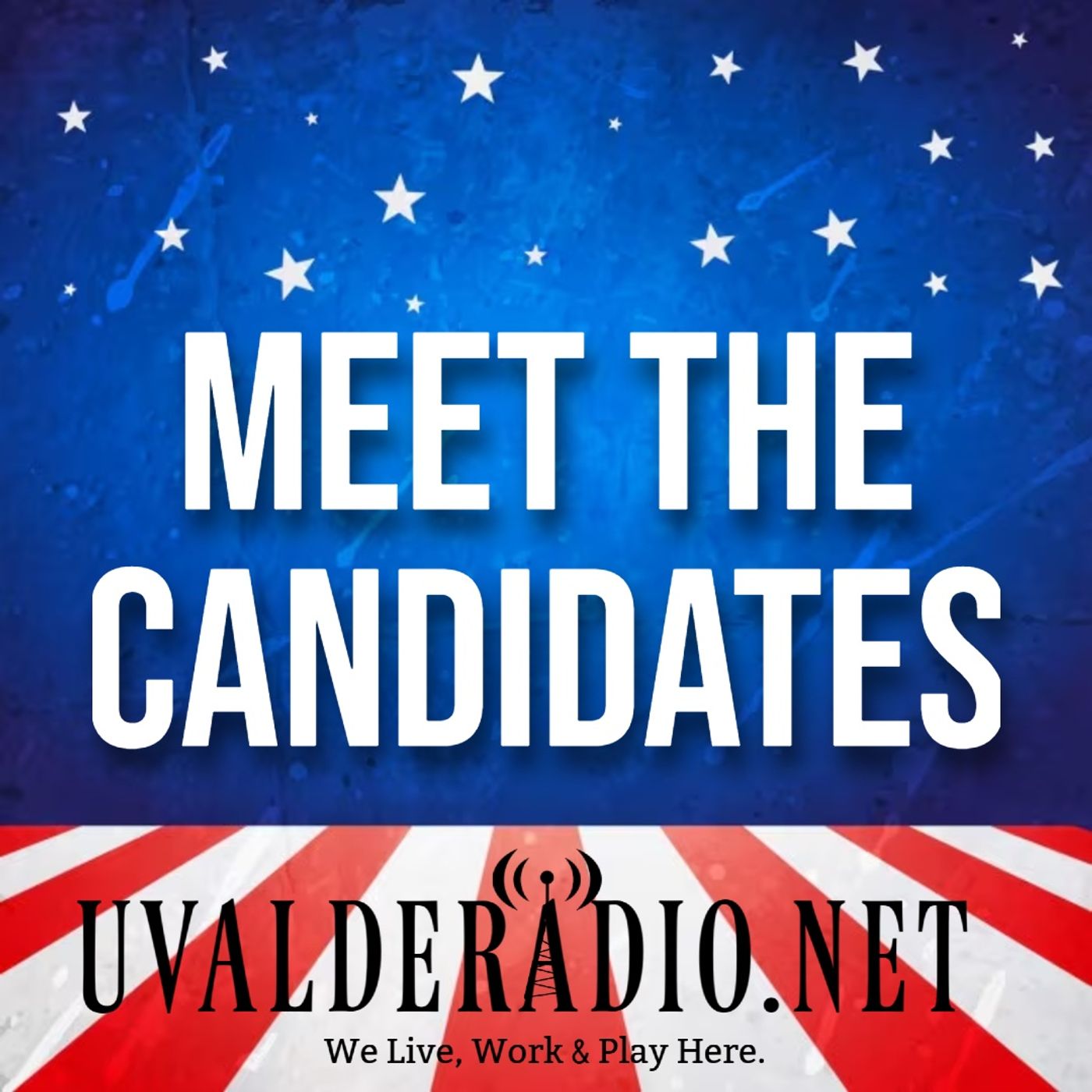 MEET THE CANDIDATE cover art