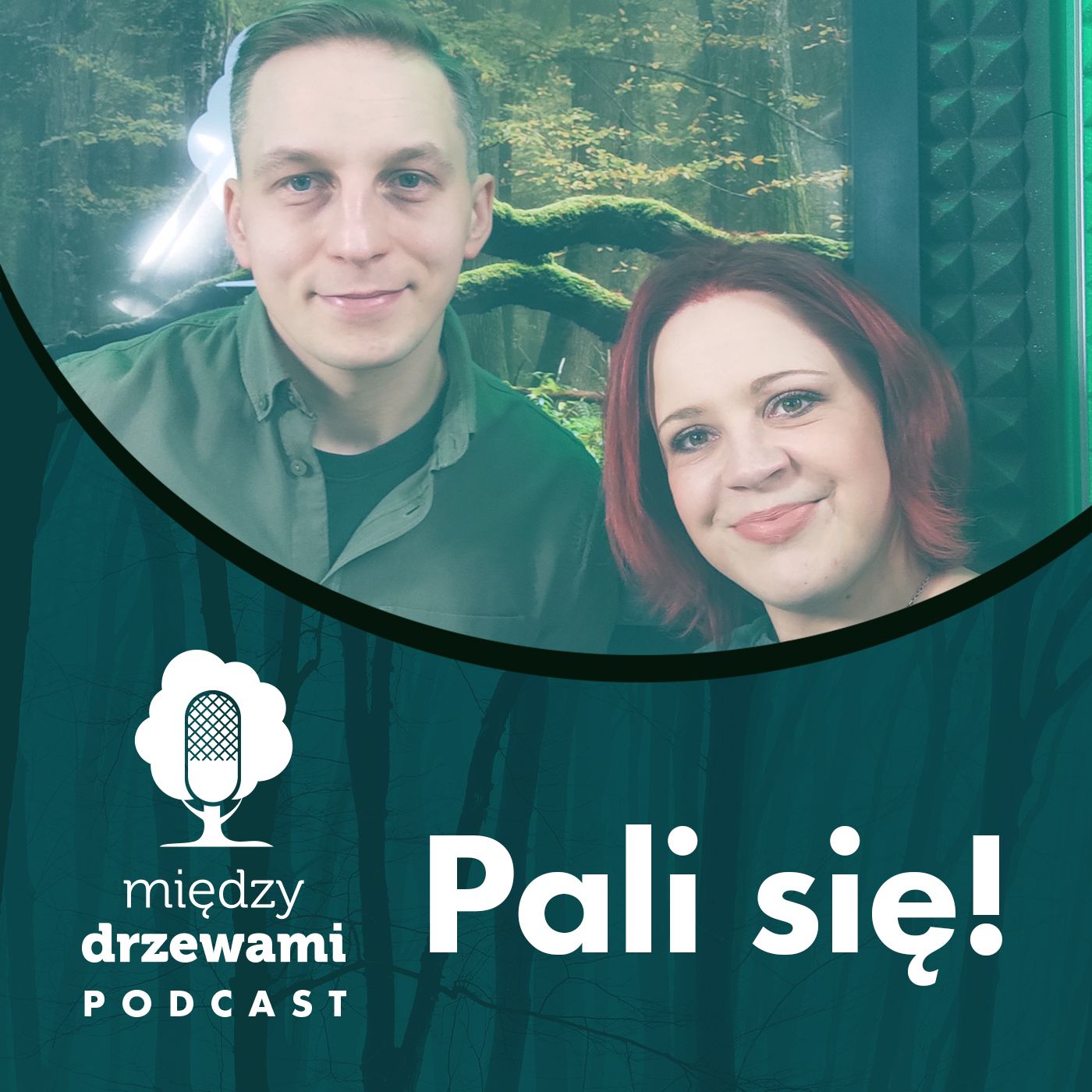 Między Drzewami Podcast