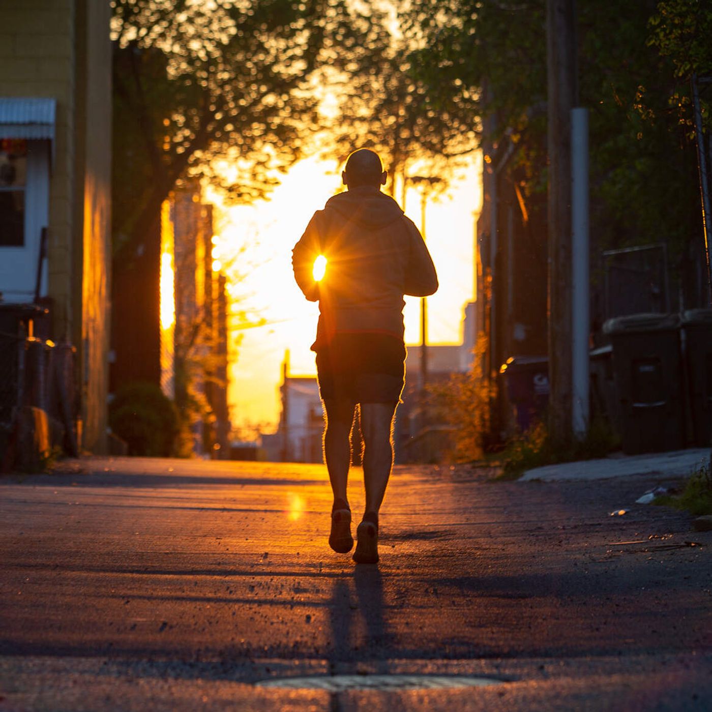 Peter Sagal Teaches Us How To Run episode artwork