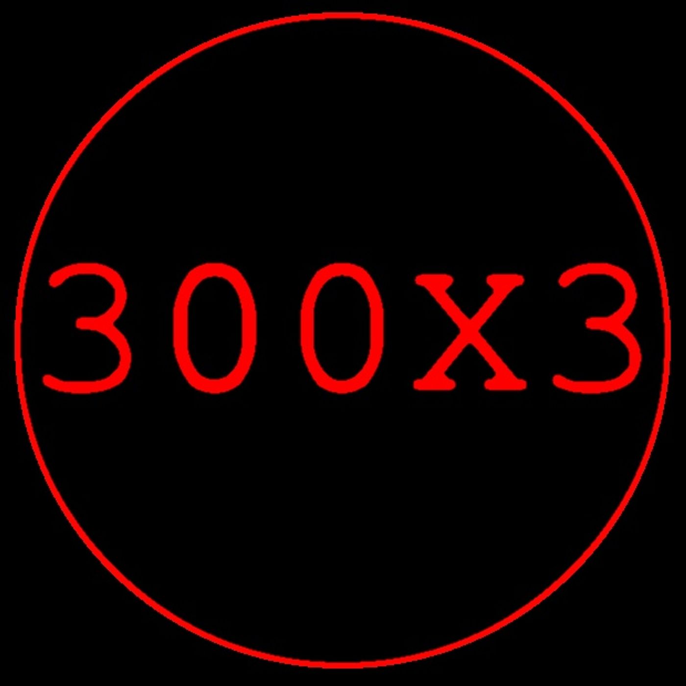 300X3.COM