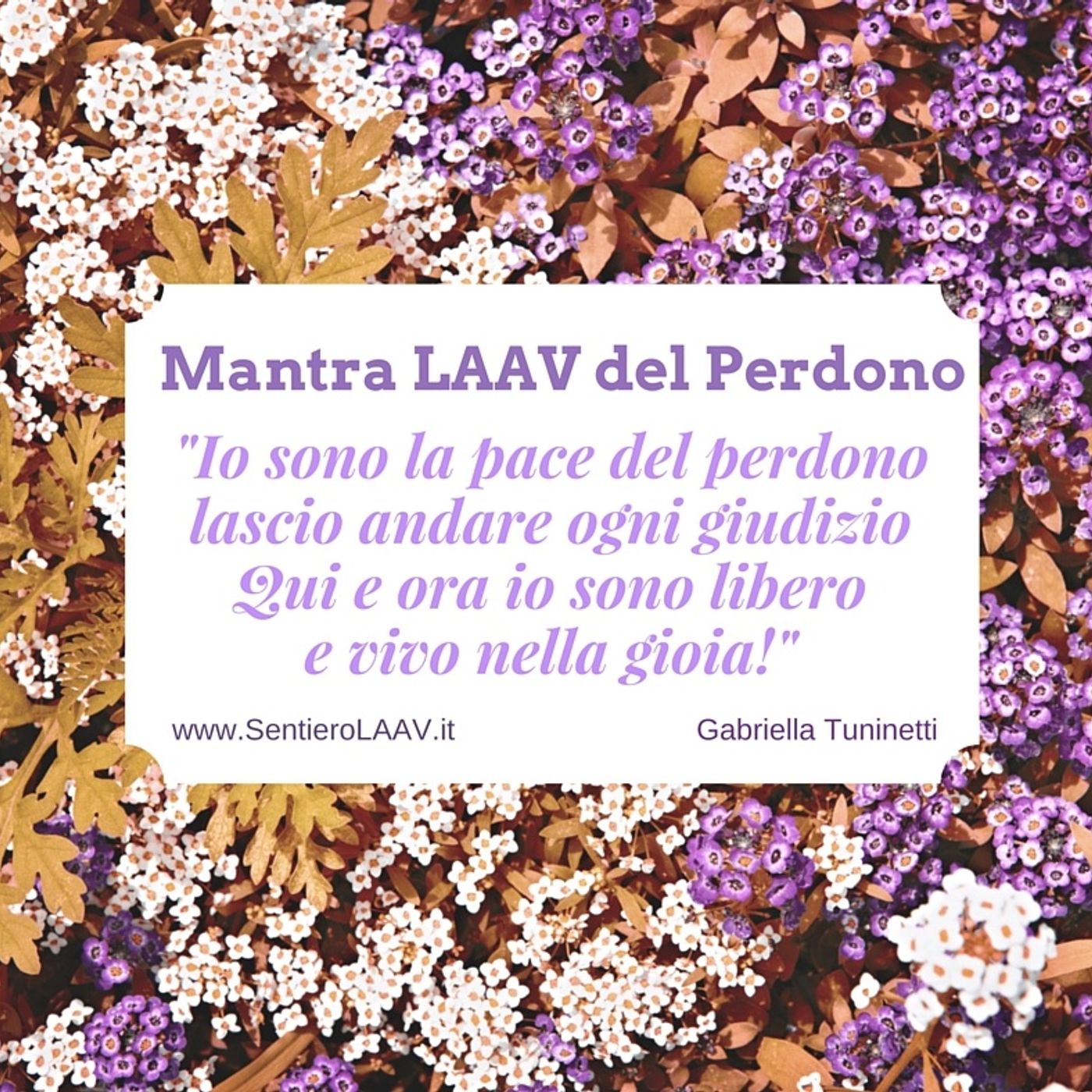 Un Sentiero per l\'Anima