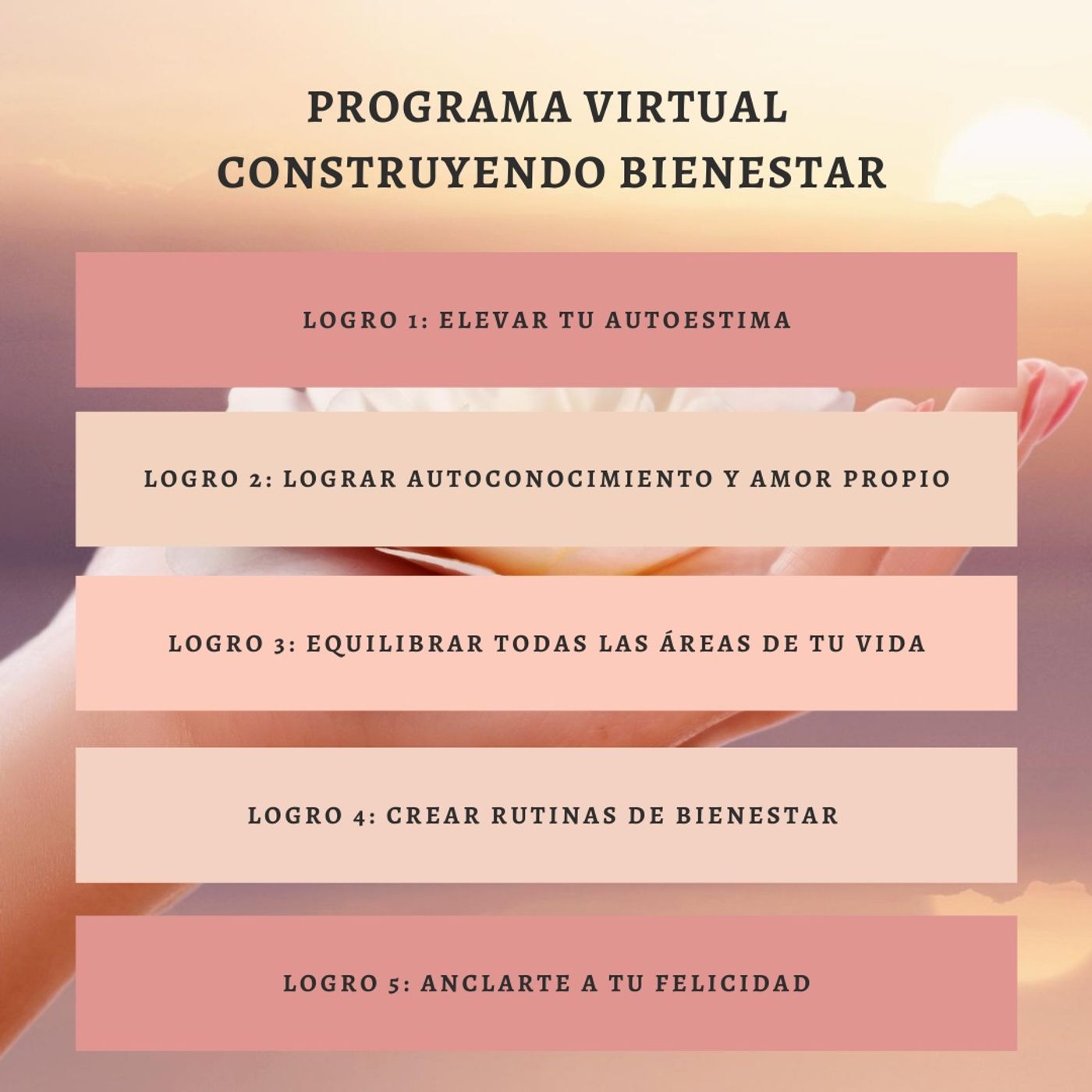 Programa Construyendo Bienestar