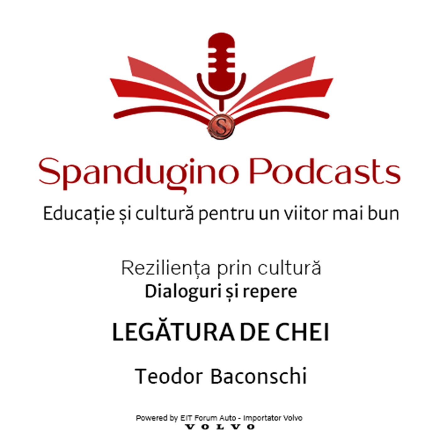 Reziliența prin cultură. Teodor Baconschi - Legătura de chei