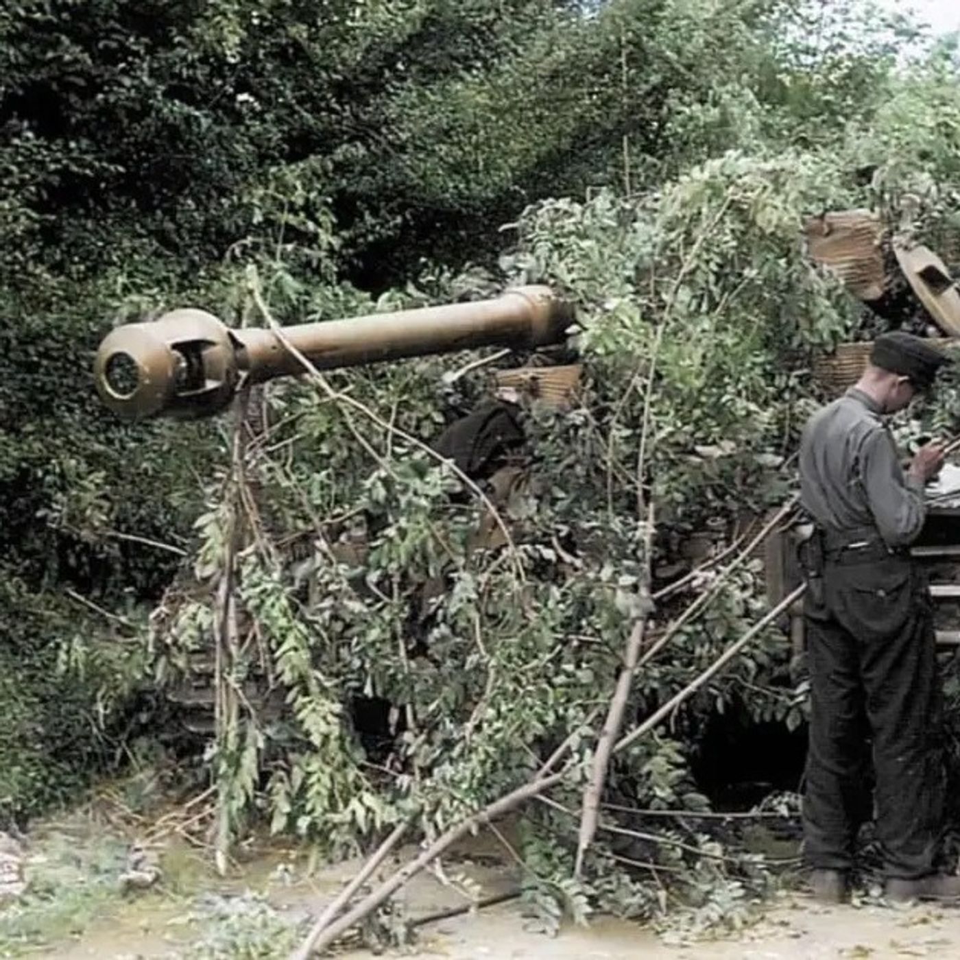 Se l'Italia fosse rimasta neutrale nella Seconda Guerra Mondiale? 1943-44 - Ucronia #4