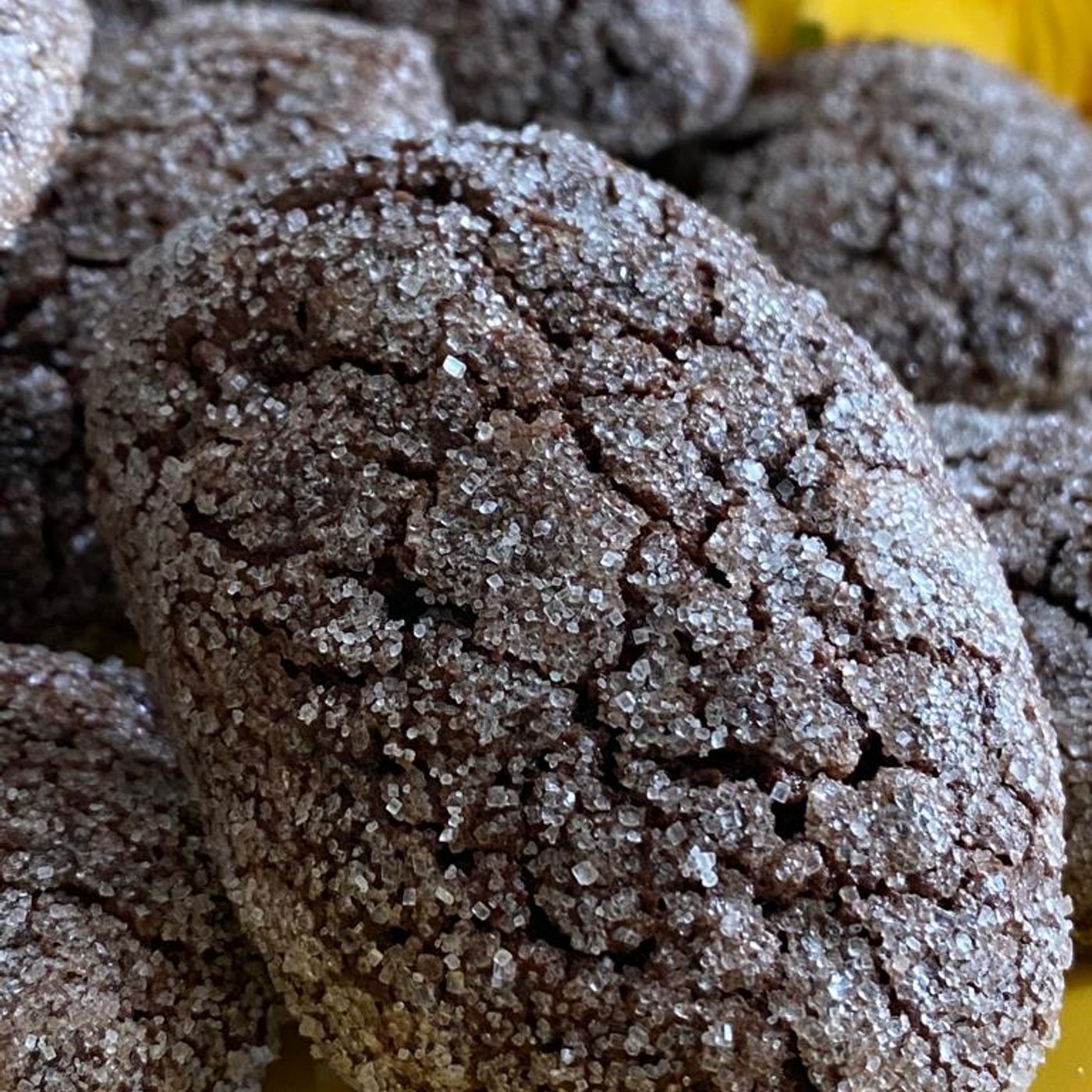 Biscotti da inzuppo al cacao. episode artwork