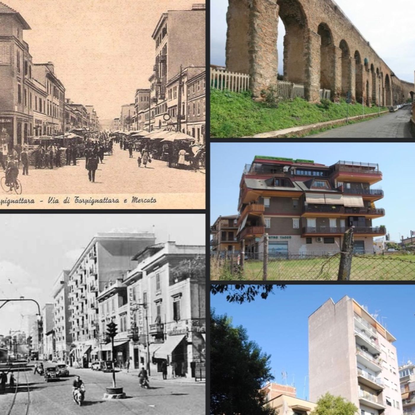 VADO DOVE MI PORTA IL VENTO