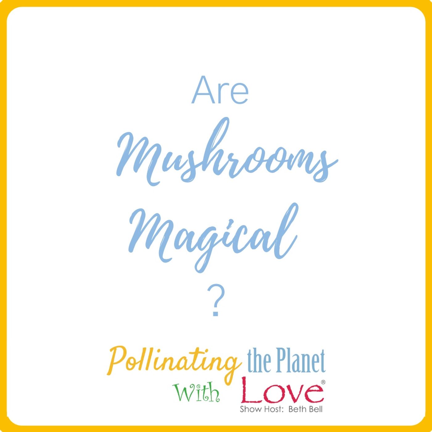 Are Mushrooms Magical?  Guest Louie Schwartzberg