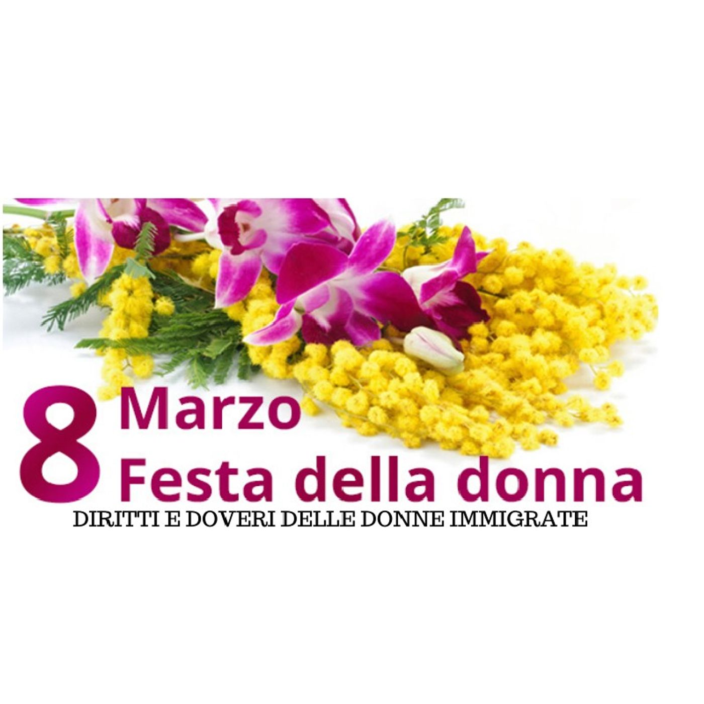 8 MARZO - DROITS ET DEVOIRS DES FEMMES IMMIGRÉES. episode artwork
