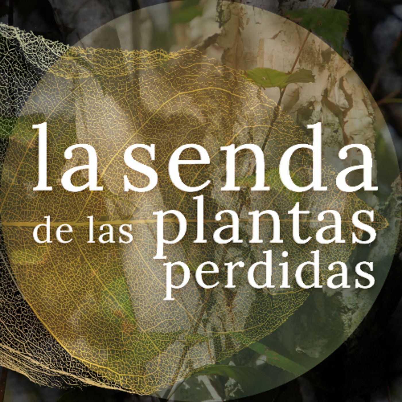 La Senda de las Plantas Perdidas