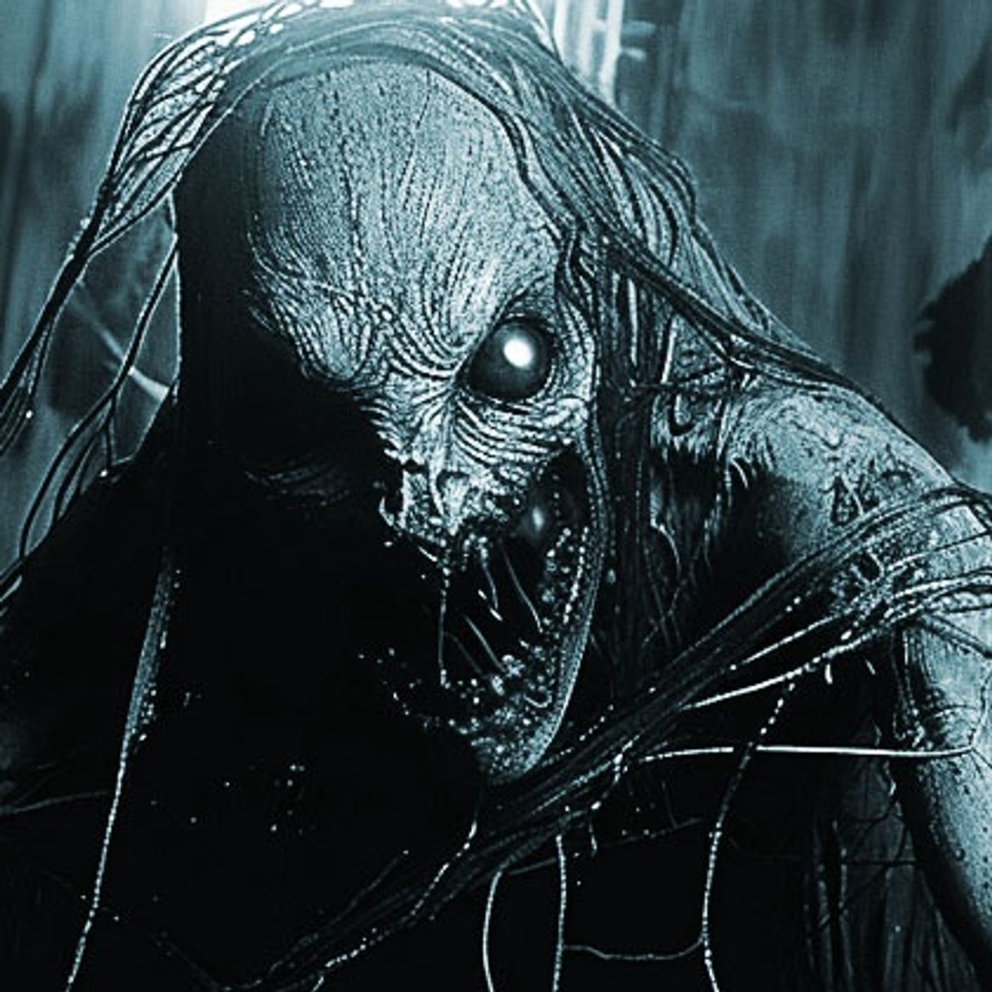 Y La Maldición Que Las Hizo Surgir Historias De Terror - REDE