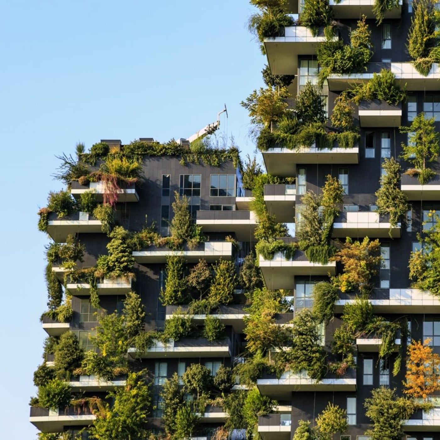 bosco verticale