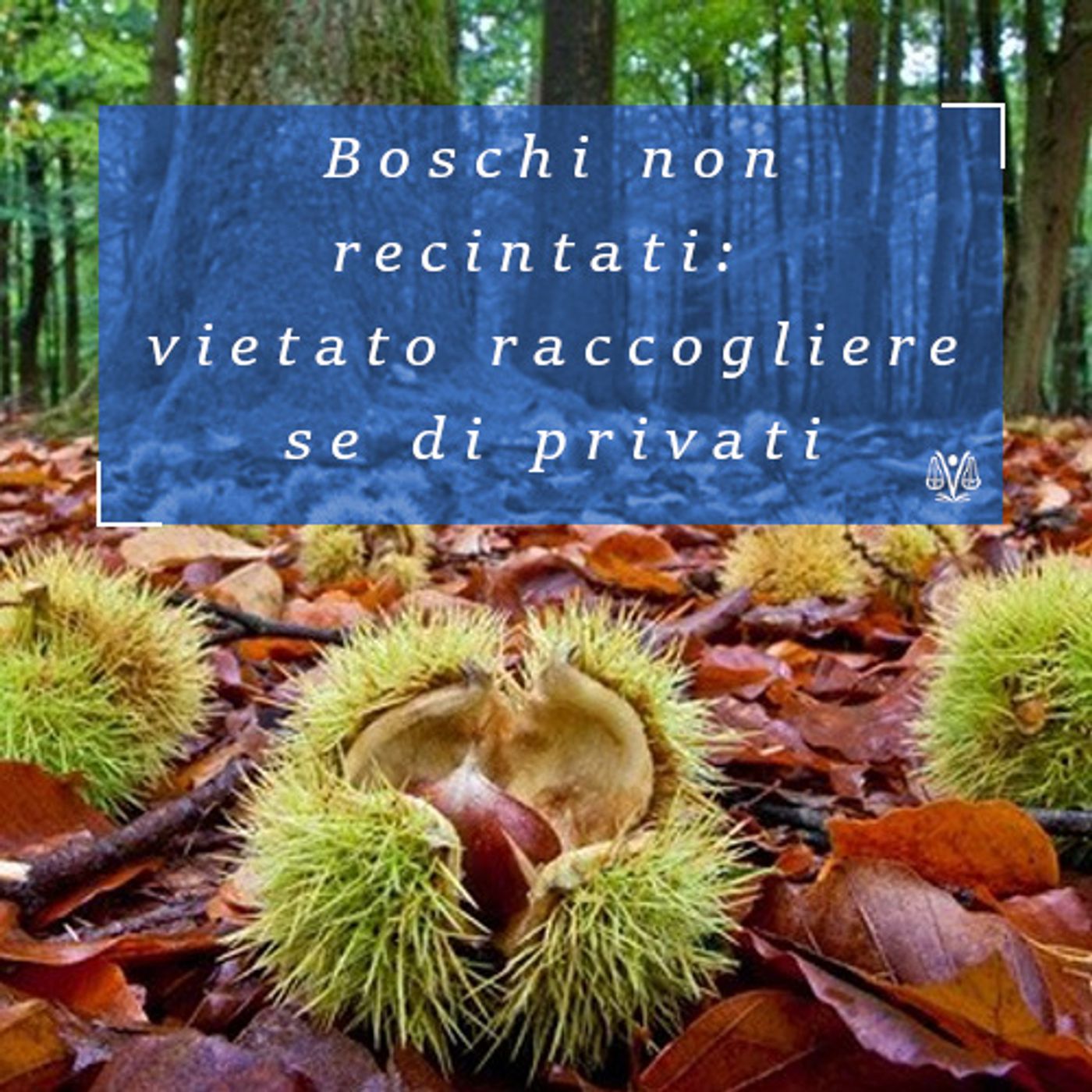 Avvocato di famiglia