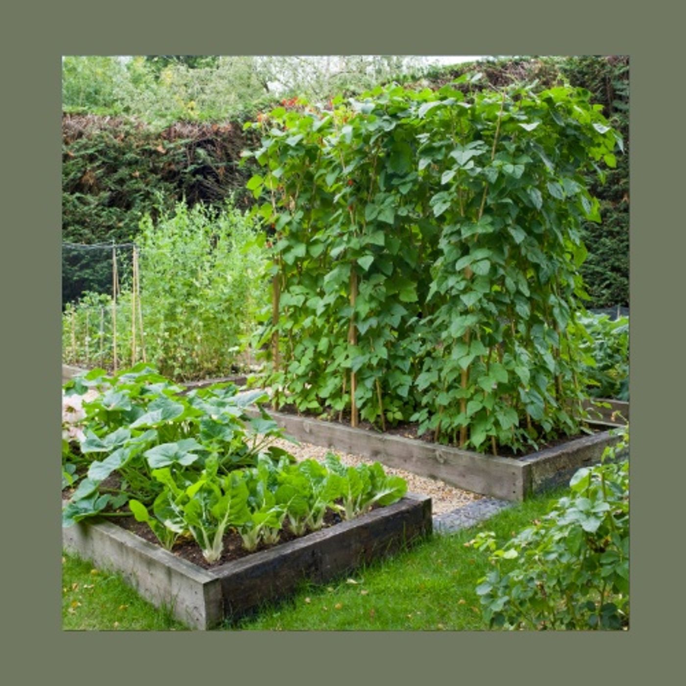 Giardino Futuro