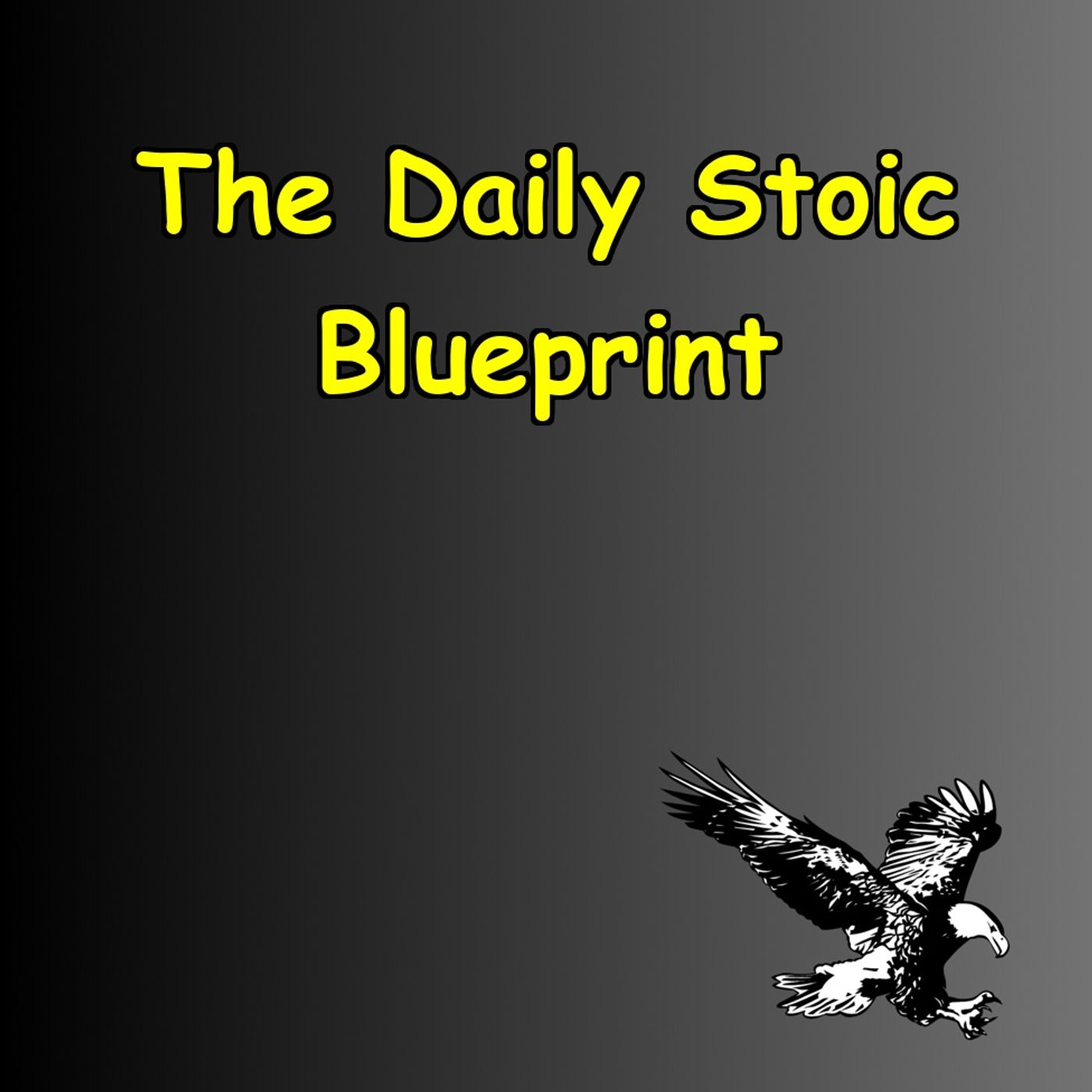 The Daily Stoic Blueprint | Discipline, Resilience & Strength