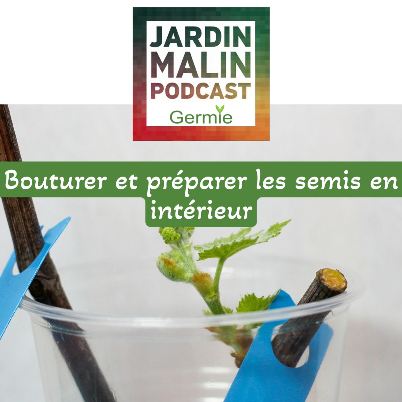 JARDIN MALIN by Germie