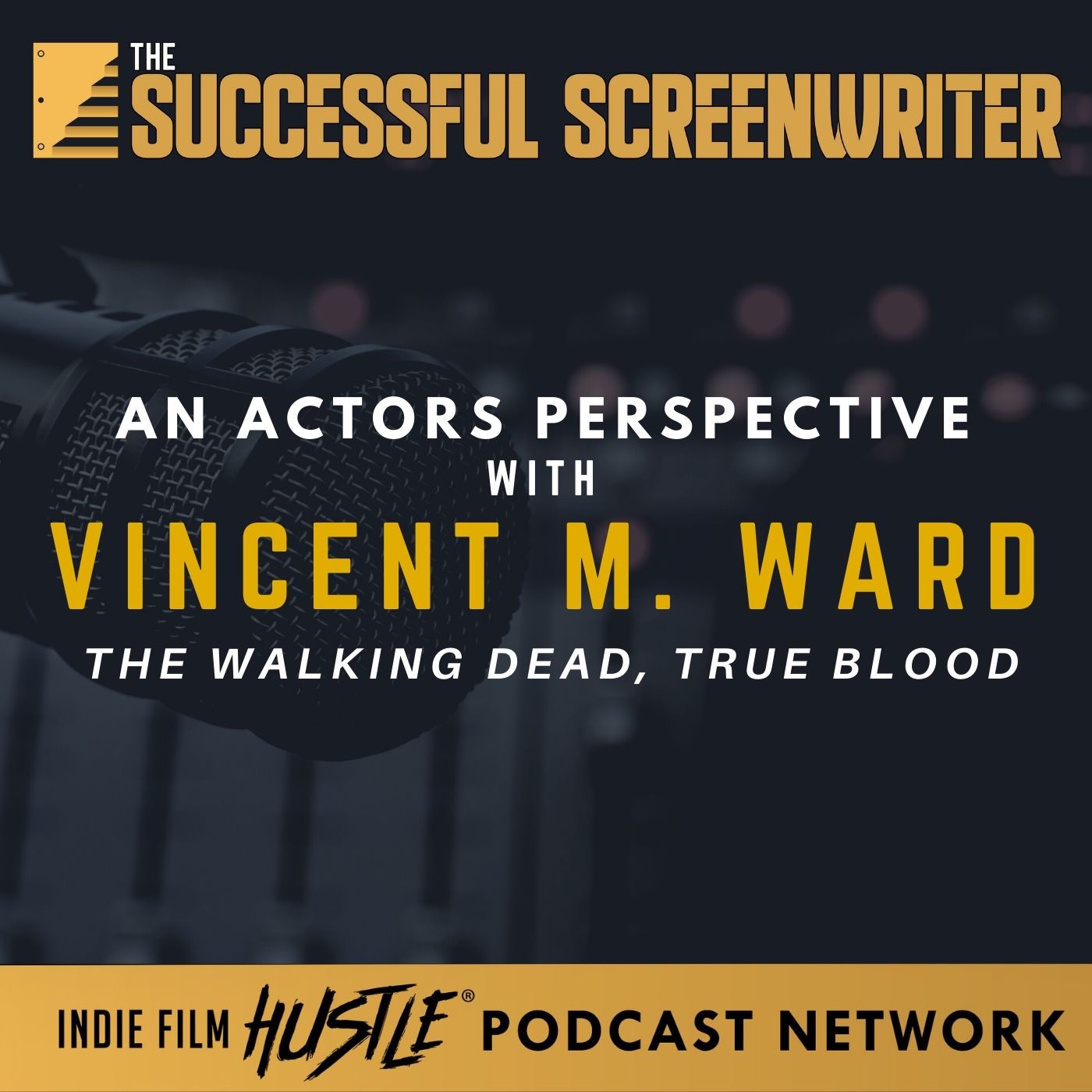 The Successful Screenwriter with Geoffrey D Calhoun: Screenwriting Podcast