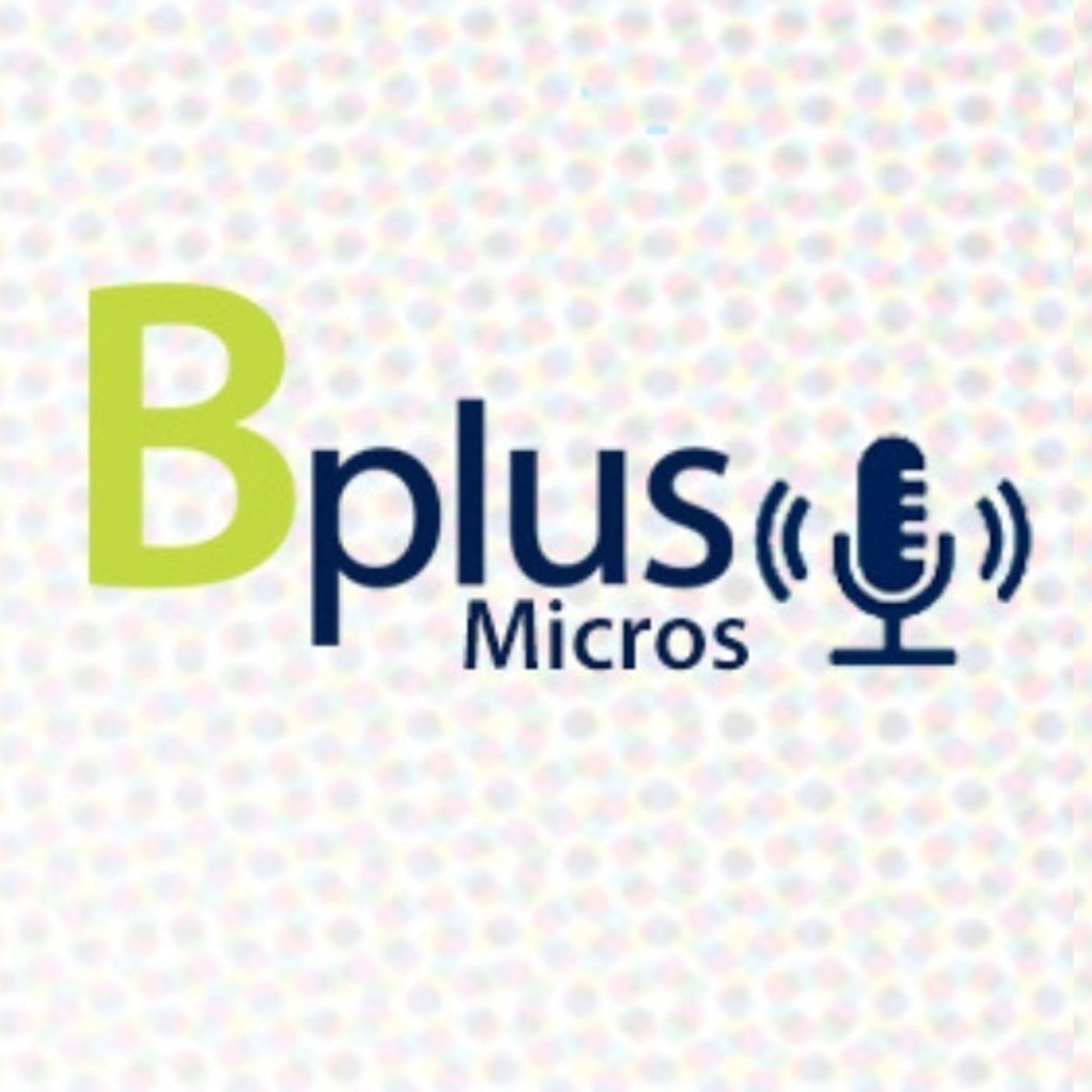 Micros Financieros Bplus
