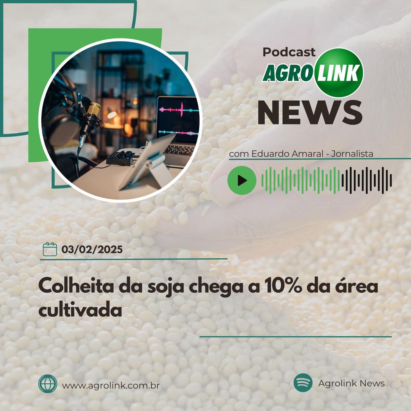 Rio Grande do Sul termina colheita da cebola com melhor safra dos últimos anos Rio Grande do Sul termina colheita da cebola com melhor safra dos últimos anos