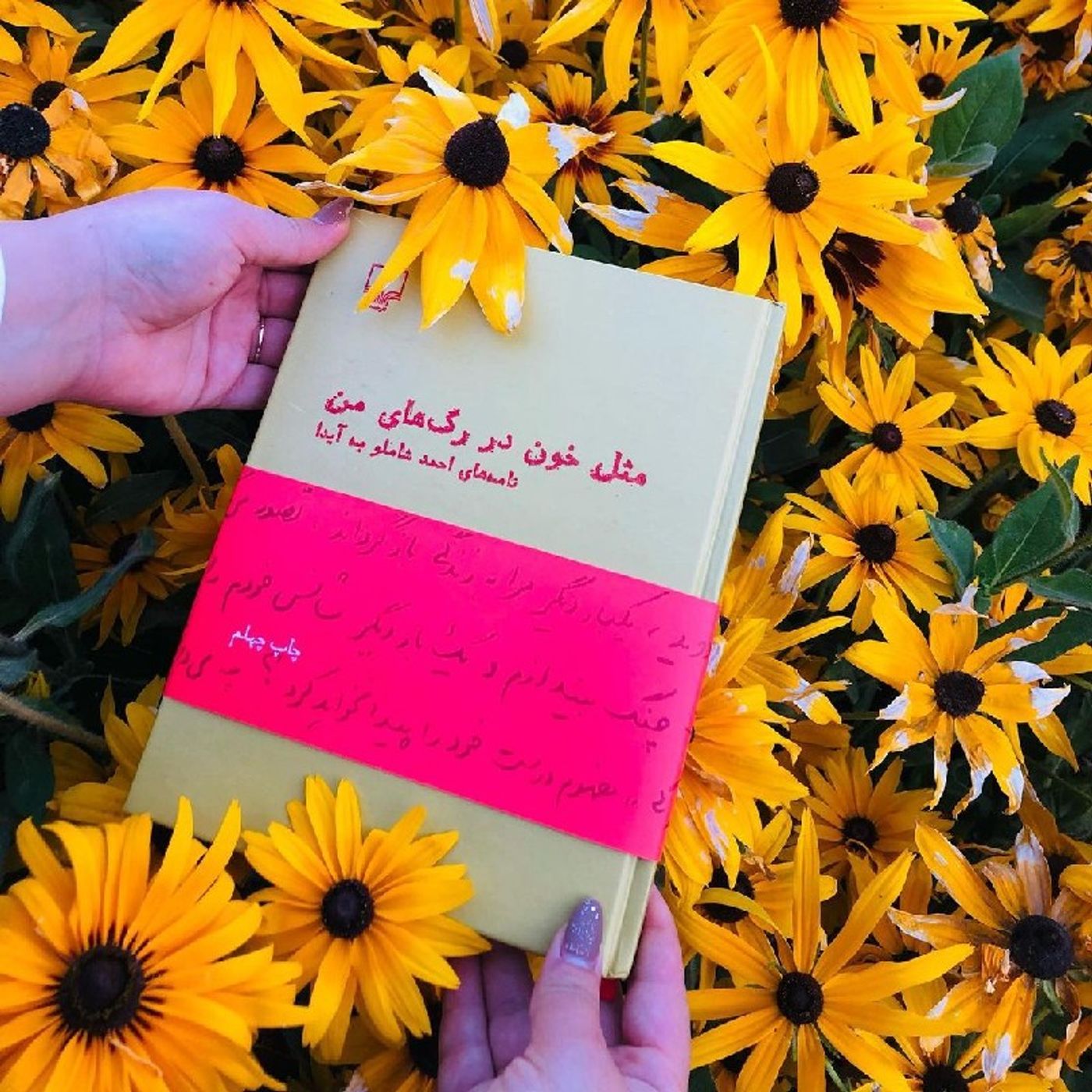 عزیز بی همتا episode artwork