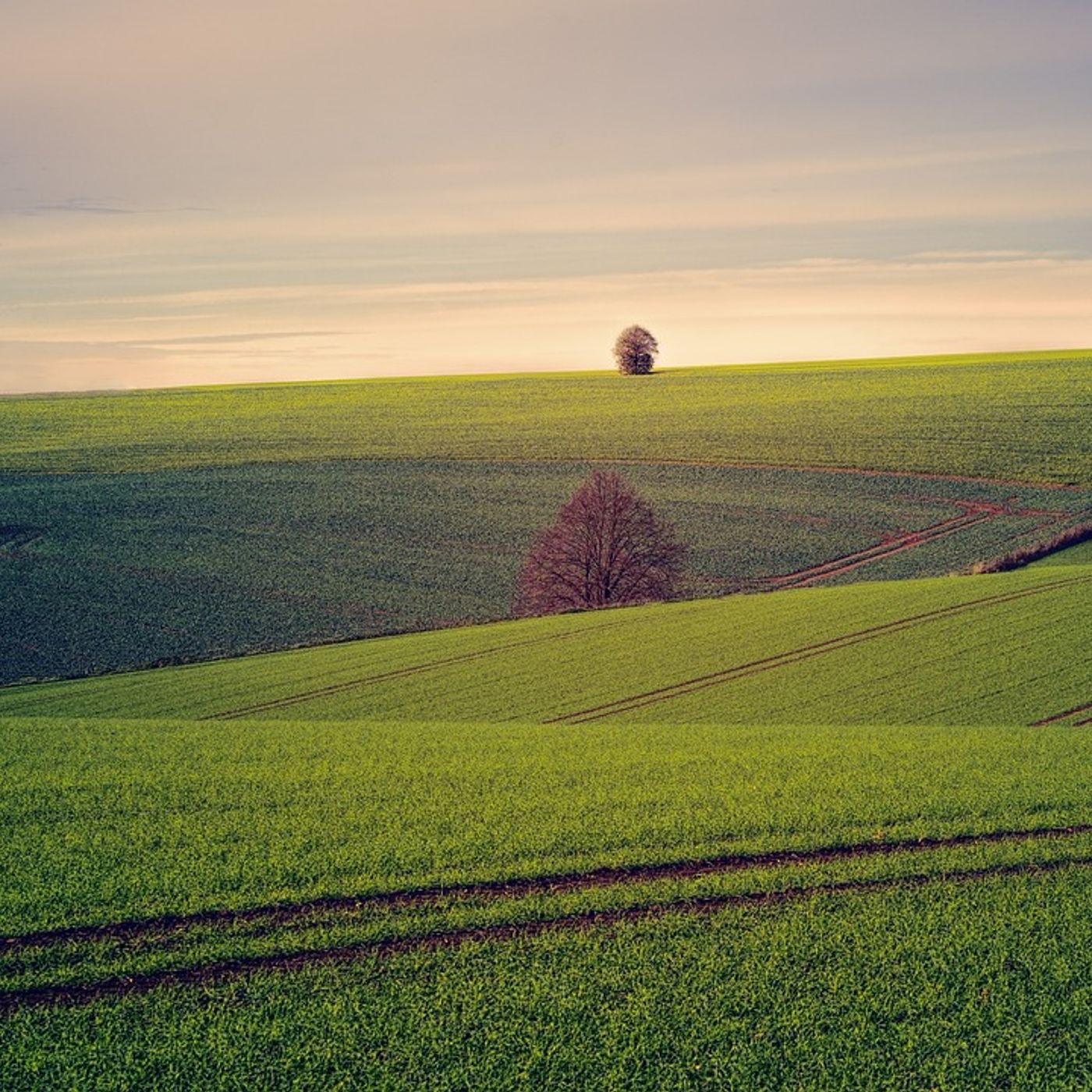 Le stagioni della terra
